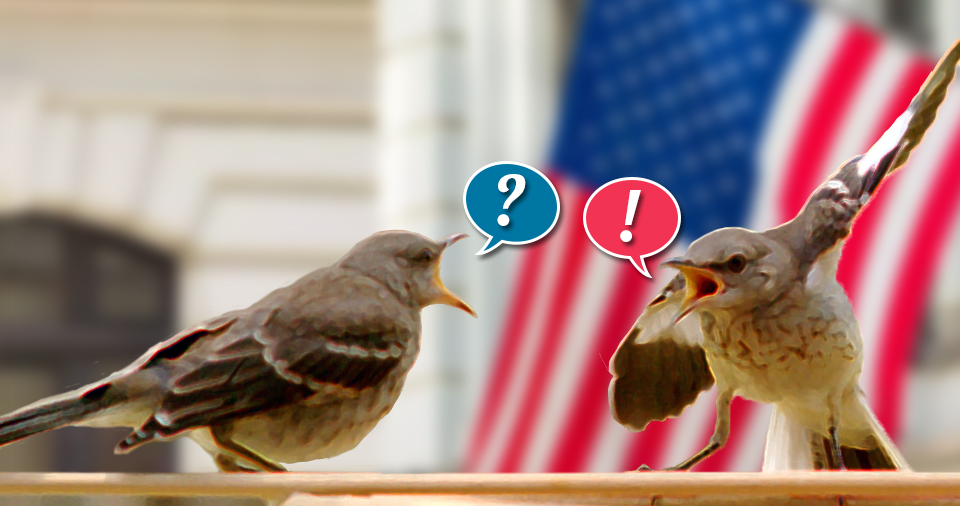 Birds arguing: Questions for Republicans. Dear Republicans: Your cruel and reckless policies are terrifying millions of your fellow Americans, and I'm trying to understand how you're okay with this.