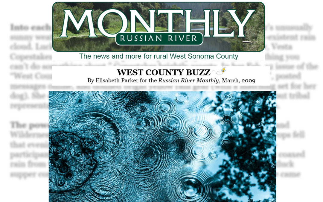 West County Buzz,’ March 2009