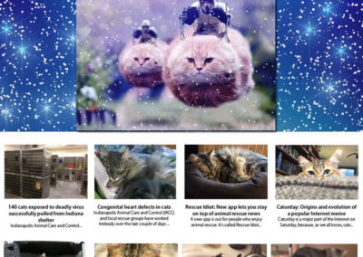 2015 Our Cats World Website Re-Design.